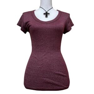 Michael Stars Shine Tee in Plum